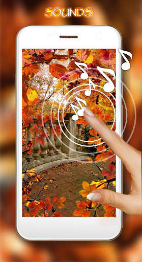 Run android online APK Autumn Tale Live Wallpaper from MyAndroid or emulate Autumn Tale Live Wallpaper using MyAndroid