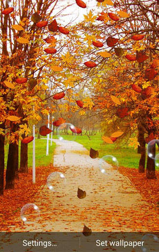 Run android online APK Autumn Wallpaper 2 from MyAndroid or emulate Autumn Wallpaper 2 using MyAndroid