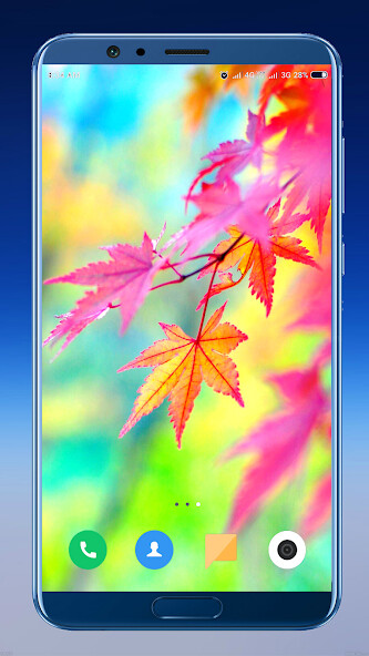 Run android online APK Autumn Wallpaper 4K from MyAndroid or emulate Autumn Wallpaper 4K using MyAndroid Run android online APK Autumn Wallpaper 4K from MyAndroid or emulate Autumn Wallpaper 4K using MyAndroid