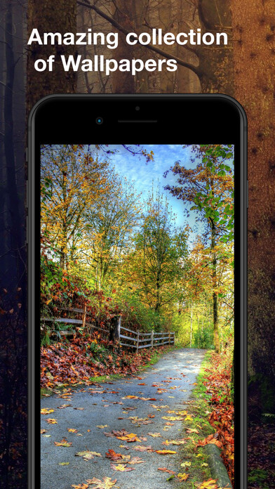 Emulate Android APK Autumn Wallpapers HD Emulate Android APK Autumn Wallpapers HD