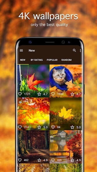 Run android online APK Autumn Wallpapers PRO from MyAndroid or emulate Autumn Wallpapers PRO using MyAndroid