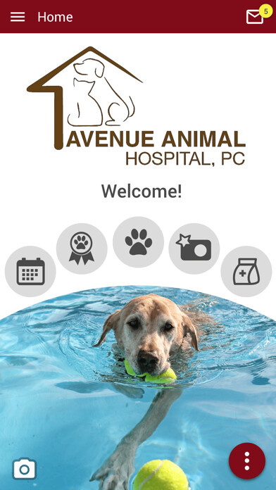 Emulate iPhone app Avenue Animal Hospital using MyAndroid Emulate iPhone app Avenue Animal Hospital using MyAndroid
