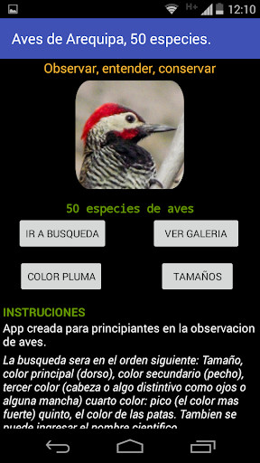 Emulate Android APK Aves de Arequipa - Peru