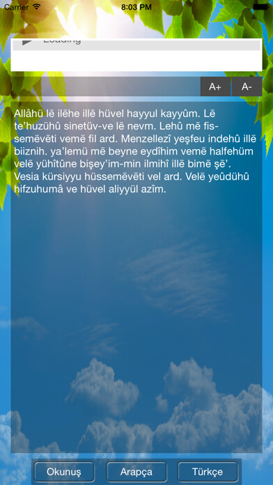 Emulate iPhone app Ayetel Kursi using MyAndroid
