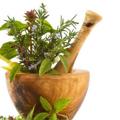 Emulate Android APK Ayurvedic Herbs Home Remedies