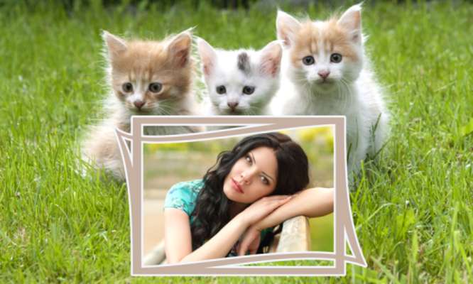 Emulate Android APK Baby Animals Photo Frames
