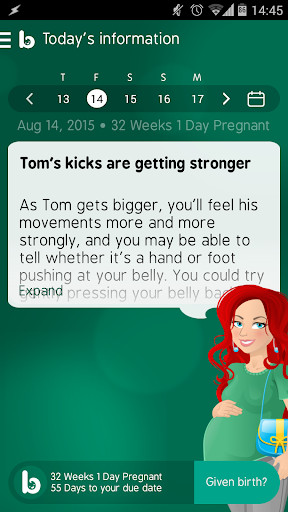 Emulate Android APK Baby Buddy - Pregnancy, birth baby support Emulate Android APK Baby Buddy - Pregnancy, birth baby support