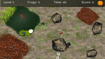 Run android online APK Baby Frogs - Frog Wrangling from MyAndroid or emulate Baby Frogs - Frog Wrangling using MyAndroid