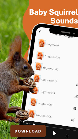 Run android online APK Baby squirrel sounds from MyAndroid or emulate Baby squirrel sounds using MyAndroid Run android online APK Baby squirrel sounds from MyAndroid or emulate Baby squirrel sounds using MyAndroid