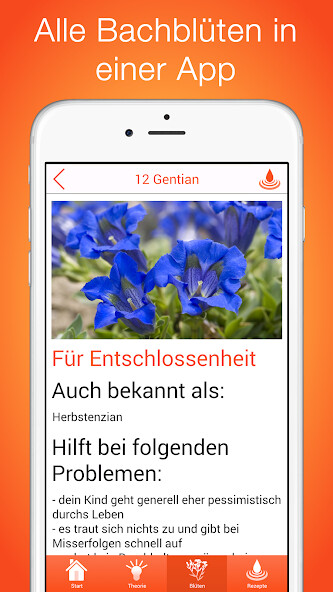 Run android online APK Bachblüten für Kinder from MyAndroid or emulate Bachblüten für Kinder using MyAndroid Run android online APK Bachblüten für Kinder from MyAndroid or emulate Bachblüten für Kinder using MyAndroid