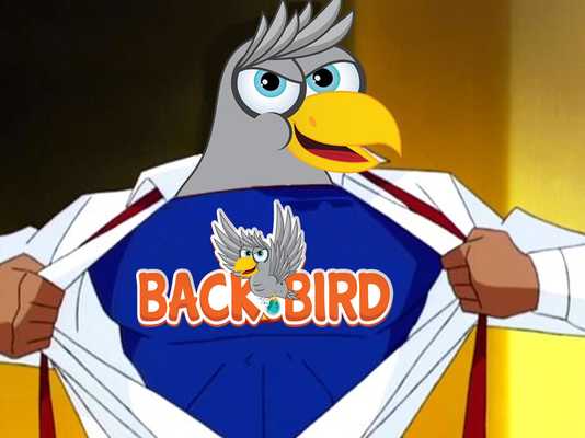 Emulate Android APK Back Bird Emulate Android APK Back Bird