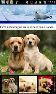Emulate Android APK BACKGROUND: Pets - Puppies
