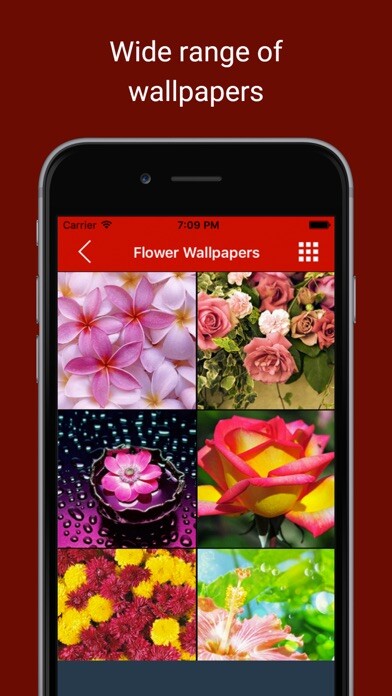 Emulate iPhone app Background Wallpapers: Get pictures & snaps of Love, Romance and heart using MyAndroid Emulate iPhone app Background Wallpapers: Get pictures & snaps of Love, Romance and heart using MyAndroid
