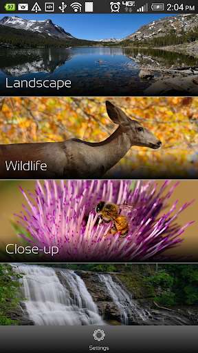 Run android online APK Backseat Photographer from MyAndroid or emulate Backseat Photographer using MyAndroid Run android online APK Backseat Photographer from MyAndroid or emulate Backseat Photographer using MyAndroid