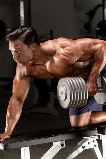 Emulate Android APK Back Workouts Emulate Android APK Back Workouts