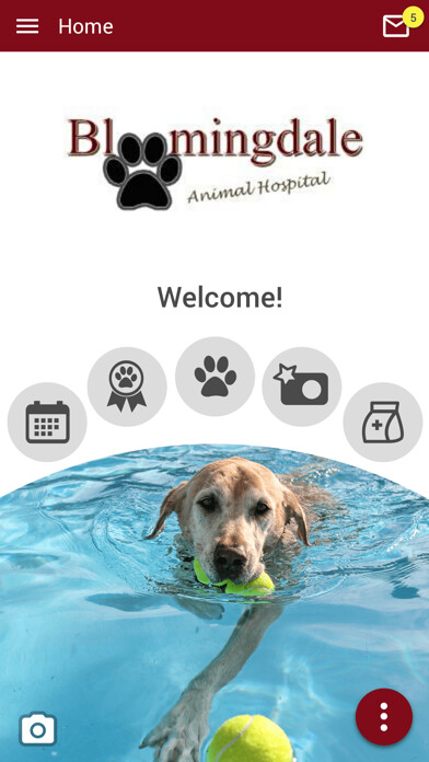 Emulate iPhone app BAH VET using MyAndroid