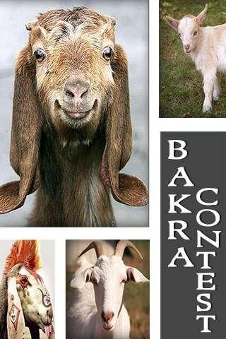 Run android online APK Bakra Contest from MyAndroid or emulate Bakra Contest using MyAndroid Run android online APK Bakra Contest from MyAndroid or emulate Bakra Contest using MyAndroid