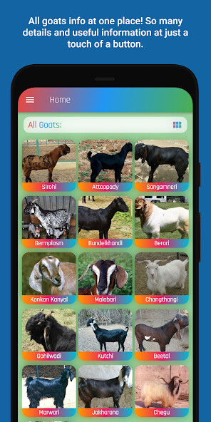 Run android online APK Bakri Palan - Goats Info from MyAndroid or emulate Bakri Palan - Goats Info using MyAndroid Run android online APK Bakri Palan - Goats Info from MyAndroid or emulate Bakri Palan - Goats Info using MyAndroid