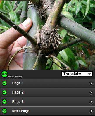 Run android online APK bamboo petuk from MyAndroid or emulate bamboo petuk using MyAndroid