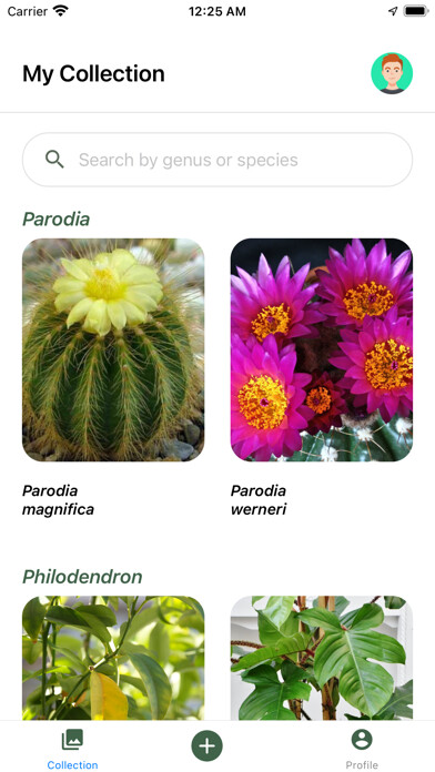 Emulate iPhone app Banana Belt using MyAndroid