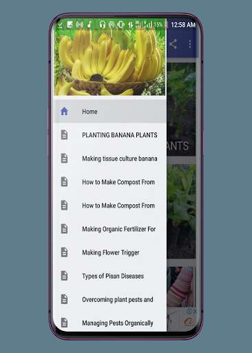 Run android online APK banana cultivation from MyAndroid or emulate banana cultivation using MyAndroid