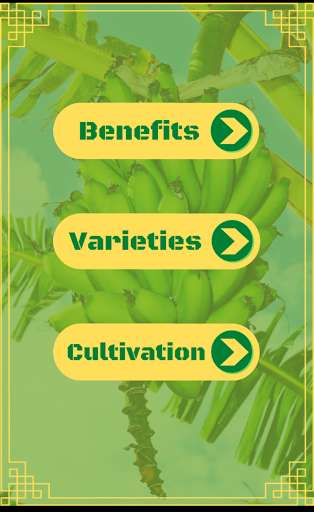 Run android online APK Banana Life from MyAndroid or emulate Banana Life using MyAndroid Run android online APK Banana Life from MyAndroid or emulate Banana Life using MyAndroid