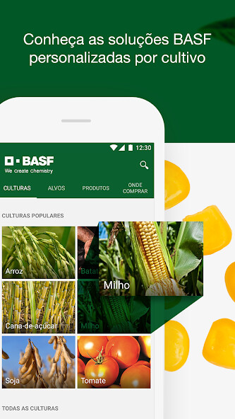 Emulate Android APK BASF Agro Emulate Android APK BASF Agro
