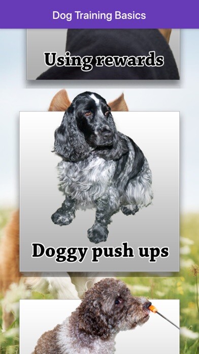 Emulate iPhone app Basic Dog Training using MyAndroid