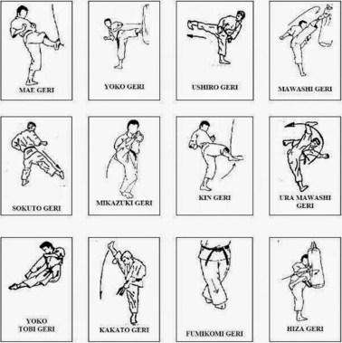 Run android online APK Basic Karate Movement Techniques from MyAndroid or emulate Basic Karate Movement Techniques using MyAndroid Run android online APK Basic Karate Movement Techniques from MyAndroid or emulate Basic Karate Movement Techniques using MyAndroid