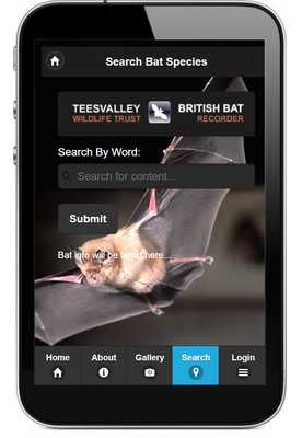 Emulate Android APK Bat Locator