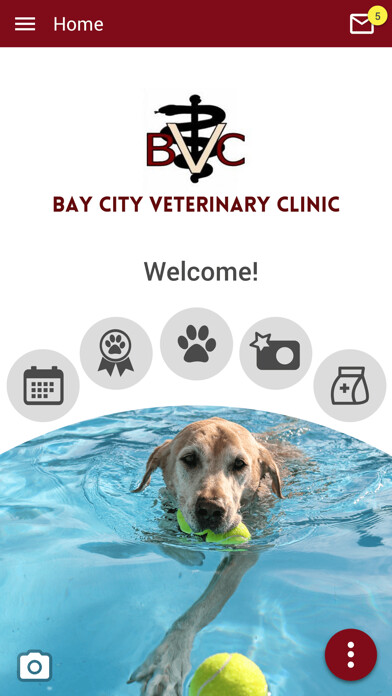 Emulate iPhone app Bay City Vet and Equine using MyAndroid Emulate iPhone app Bay City Vet and Equine using MyAndroid