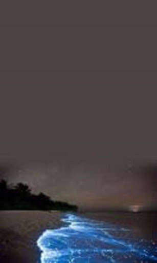 Run android online APK bbcdg.sge from MyAndroid or emulate bbcdg.sge using MyAndroid