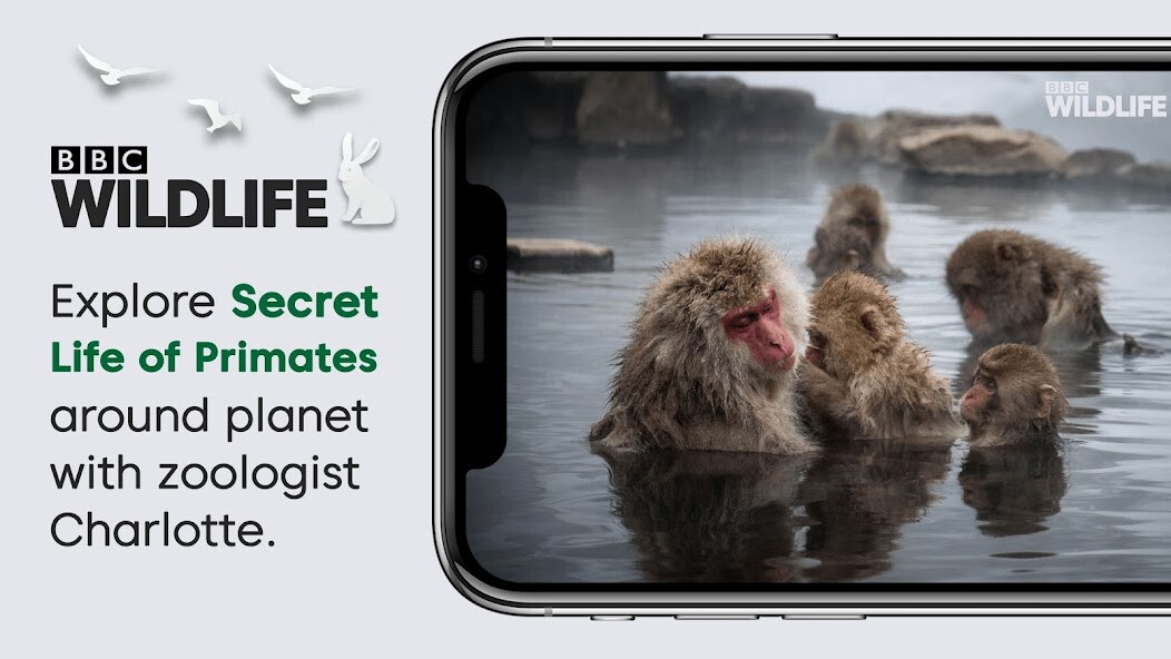 Run android online APK BBC Wildlife from MyAndroid or emulate BBC Wildlife using MyAndroid