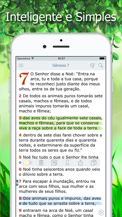 Emulate iPhone app Bíblia Ave Maria de Estudo using MyAndroid
