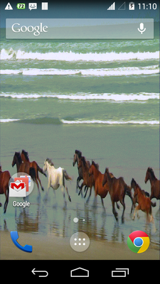 Emulate Android APK Beach Running Horse Emulate Android APK Beach Running Horse