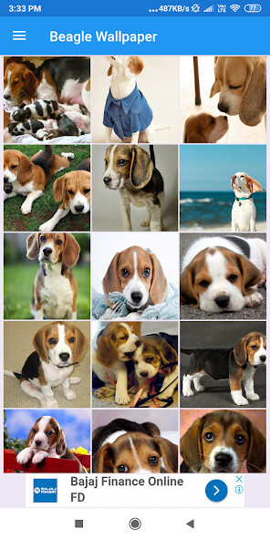 Run android online APK Beagle HD Wallpapers from MyAndroid or emulate Beagle HD Wallpapers using MyAndroid Run android online APK Beagle HD Wallpapers from MyAndroid or emulate Beagle HD Wallpapers using MyAndroid