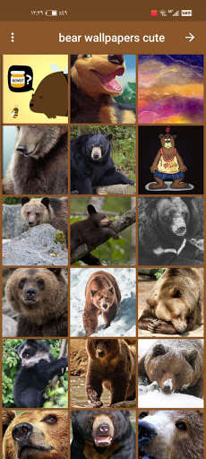 Run android online APK bear wallpapers cute from MyAndroid or emulate bear wallpapers cute using MyAndroid