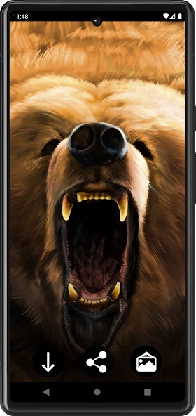Run android online APK Bear Wallpapers from MyAndroid or emulate Bear Wallpapers using MyAndroid Run android online APK Bear Wallpapers from MyAndroid or emulate Bear Wallpapers using MyAndroid