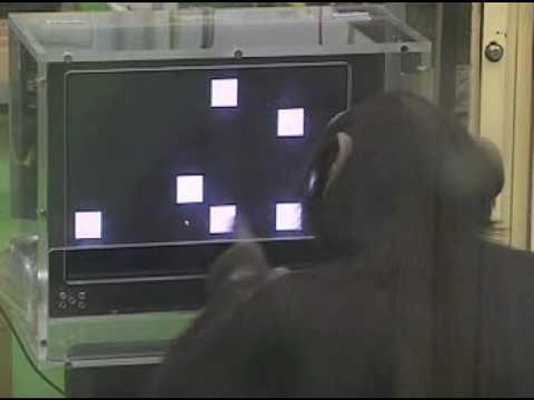 Emulate Android APK Beat Chimp