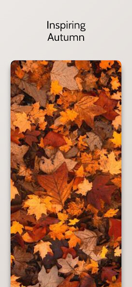 Run android online APK Beautiful Autumn Wallpaper HD from MyAndroid or emulate Beautiful Autumn Wallpaper HD using MyAndroid Run android online APK Beautiful Autumn Wallpaper HD from MyAndroid or emulate Beautiful Autumn Wallpaper HD using MyAndroid