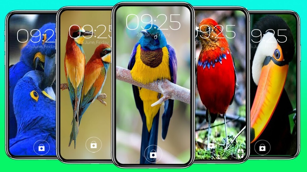 Run android online APK Beautiful Bird Wallpapers from MyAndroid or emulate Beautiful Bird Wallpapers using MyAndroid Run android online APK Beautiful Bird Wallpapers from MyAndroid or emulate Beautiful Bird Wallpapers using MyAndroid