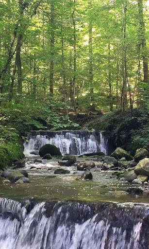 Run android online APK Beautiful cascade of waterfalls in the forest from MyAndroid or emulate Beautiful cascade of waterfalls in the forest using MyAndroid