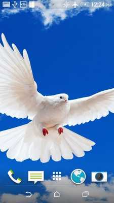 Emulate Android APK Beautiful Doves Wallpaper