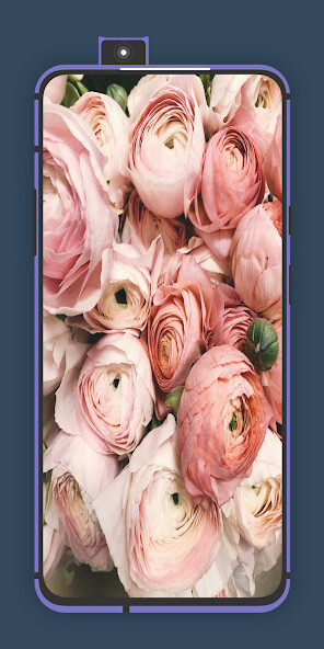 Run android online APK Beautiful Flowers Wallpapers from MyAndroid or emulate Beautiful Flowers Wallpapers using MyAndroid