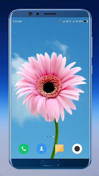Run android online APK Beautiful Flower Wallpaper from MyAndroid or emulate Beautiful Flower Wallpaper using MyAndroid Run android online APK Beautiful Flower Wallpaper from MyAndroid or emulate Beautiful Flower Wallpaper using MyAndroid
