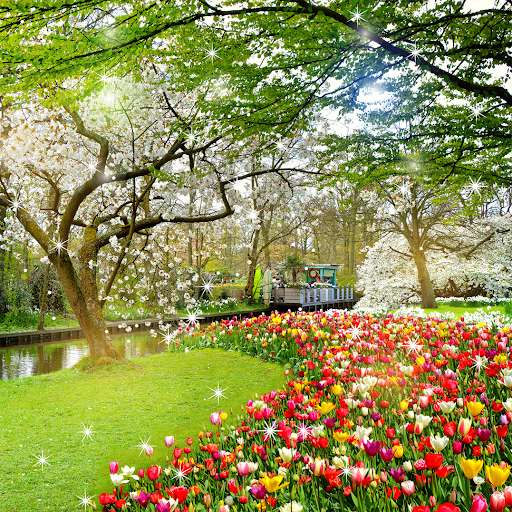 Run android online APK Beautiful Garden Wallpaper from MyAndroid or emulate Beautiful Garden Wallpaper using MyAndroid Run android online APK Beautiful Garden Wallpaper from MyAndroid or emulate Beautiful Garden Wallpaper using MyAndroid