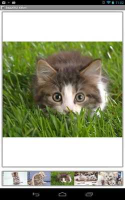 Emulate Android APK Beautiful Kitten