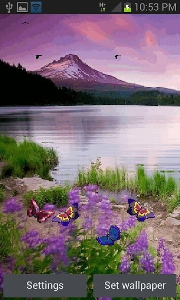 Run android online APK Beautiful Lake Butterfly LWP from MyAndroid or emulate Beautiful Lake Butterfly LWP using MyAndroid Run android online APK Beautiful Lake Butterfly LWP from MyAndroid or emulate Beautiful Lake Butterfly LWP using MyAndroid