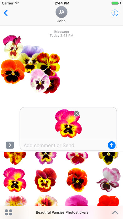 Emulate iPhone app Beautiful Pansies Stickers using MyAndroid Emulate iPhone app Beautiful Pansies Stickers using MyAndroid