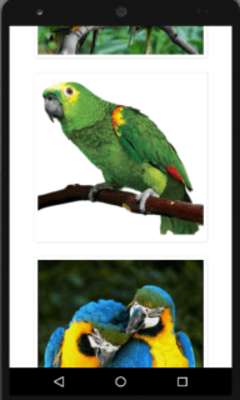 Emulate Android APK Beautiful Parrots Emulate Android APK Beautiful Parrots